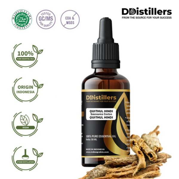 Qusthul Hindi / Qusthul Hindi Essential Oil Pure 100%, 50-100ML GS