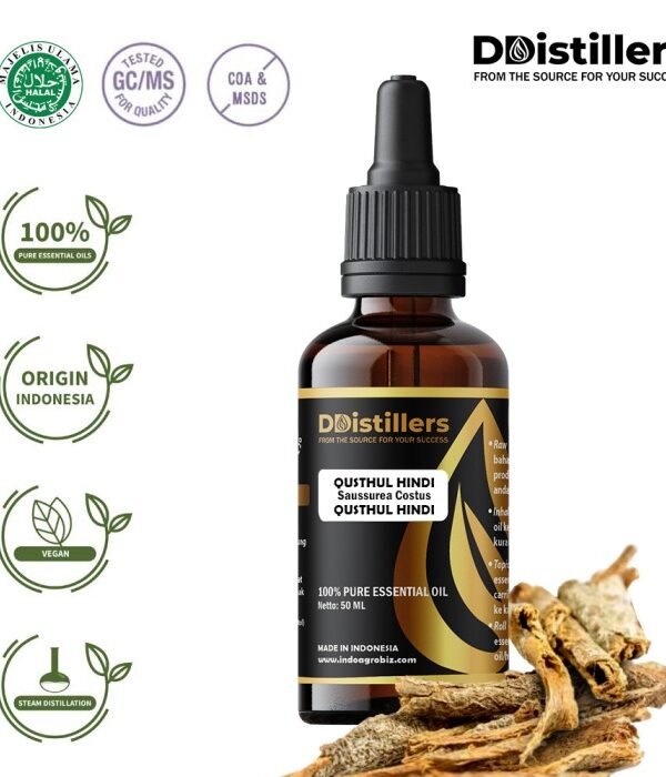 Qusthul Hindi / Qusthul Hindi Essential Oil Pure 100%, 50-100ML GS