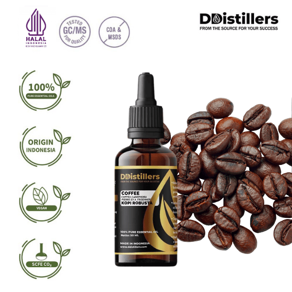 Coffee / Kopi Robusta Essential Oil Pure 100%, 50-100ML GS