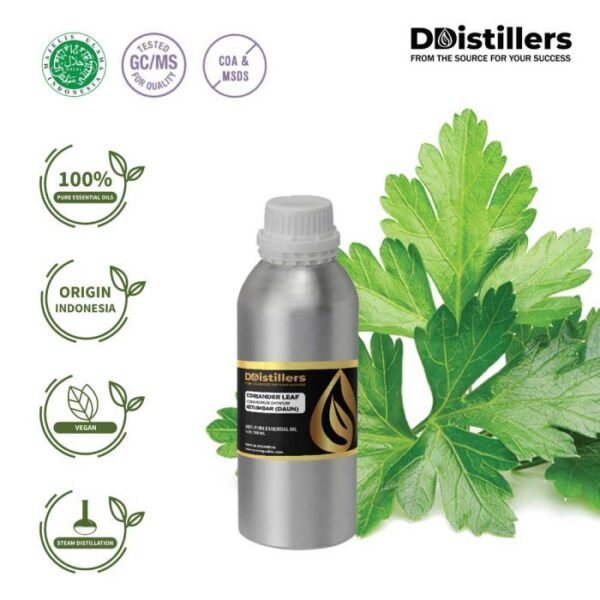 Coriander Leaf / Daun Ketumbar Essential Oil Pure 100%, 500ML-1L HDPE/SS
