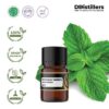 Peppermint (Piperita) / Mint Essential Oil Pure 100%, 2-10ML GS