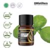 Basil (Sweet) / Selasih Essential Oil Pure 100%, 2-10ML GS