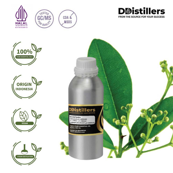 Ravintsara / Daun Kamper (CT 1,8-Cineol) Essential Oil Pure 100%, 500ML-1L HDPE/SS