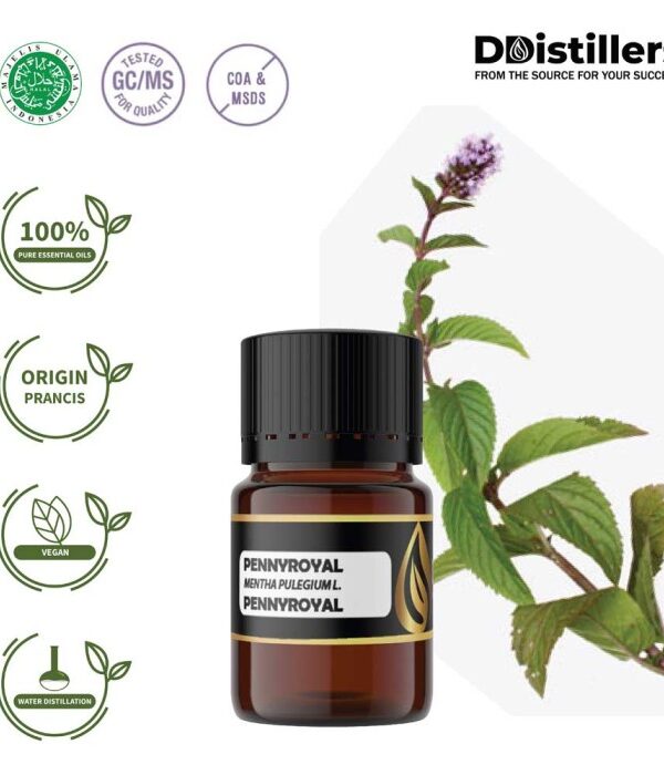 Pennyroyal / Pennyroyal Essential Oil Pure 100%, 2-10ML GS