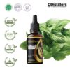 Basil (Lemon) / Kemangi Essential Oil Pure 100%, 50-100ML GS