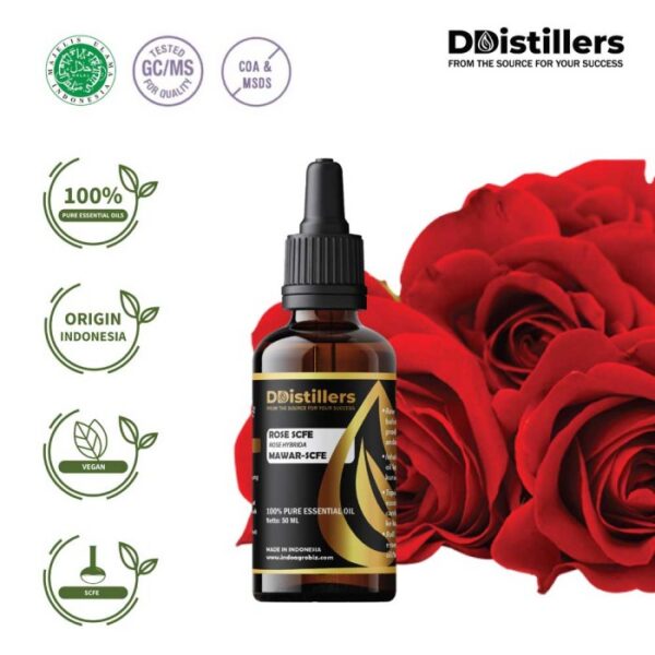 Rose (SCFE) / Mawar Essential Oil Pure 100%, 50-100ML GS