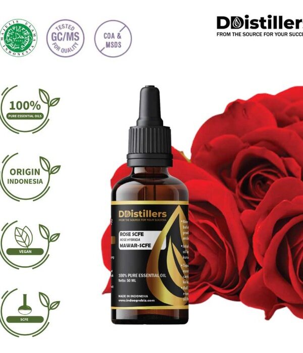 Rose (SCFE) / Mawar Essential Oil Pure 100%, 50-100ML GS