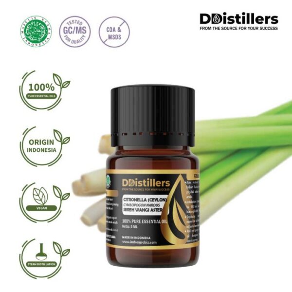 Citronella (Ceylon) / Sereh Wangi Aster Essential Oil Pure 100%, 2-10ML GS