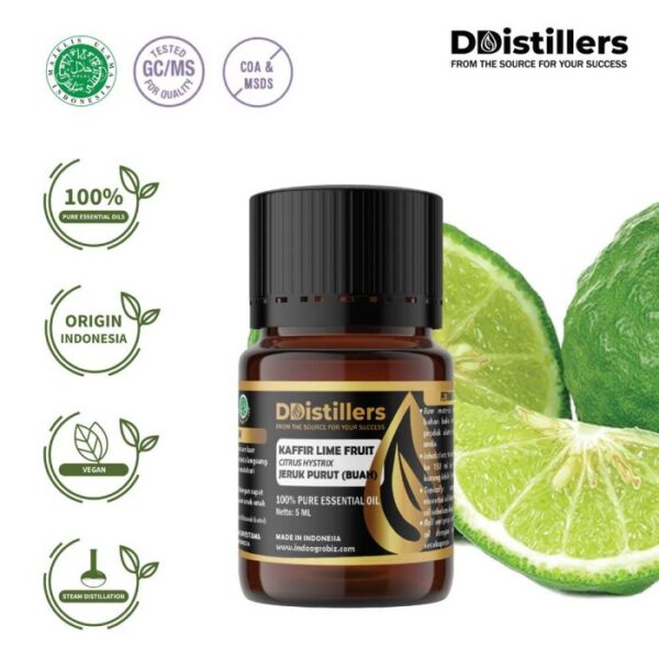 Kaffir Lime Fruit / Buah Jeruk Purut Essential Oil Pure 100%, 2-10ML GS