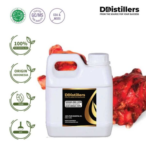 Ginger (Red SCFE) / Jahe Merah Essential Oil Pure 100%, 500ML-1L HDPE/SS