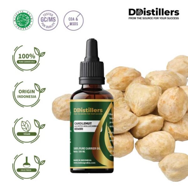 e5d6e2c68203416c9463b601219e243f.jpg Candlenut / Kemiri Carrier Oil Pure 100%, 50-100ML GS