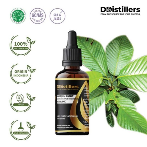 Gurjun Light / Keruing Essential Oil Pure 100%, 50-100ML GS