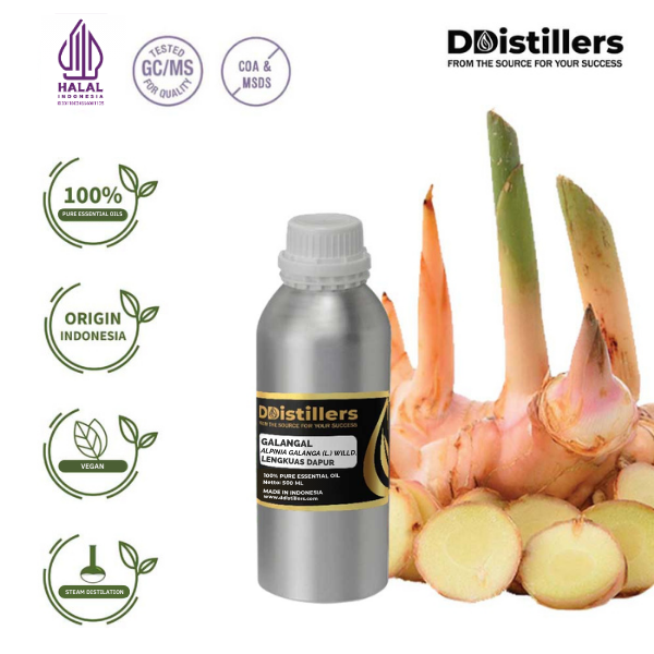 e63752577ab74f81a3428660178590f8.png Galangal / Lengkuas Dapur Essential Oil Pure 100%, 500ML-1L HDPE/SS