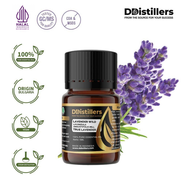 Lavender Wild / True Lavender Essential Oil Pure 100%, 2-10ML GS