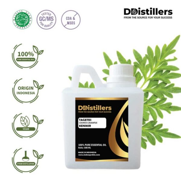 Tagetes Marigold / Kenikir Hias / Bunga Marigold Essential Oil Pure 100%, 500ML-1L HDPE/SS
