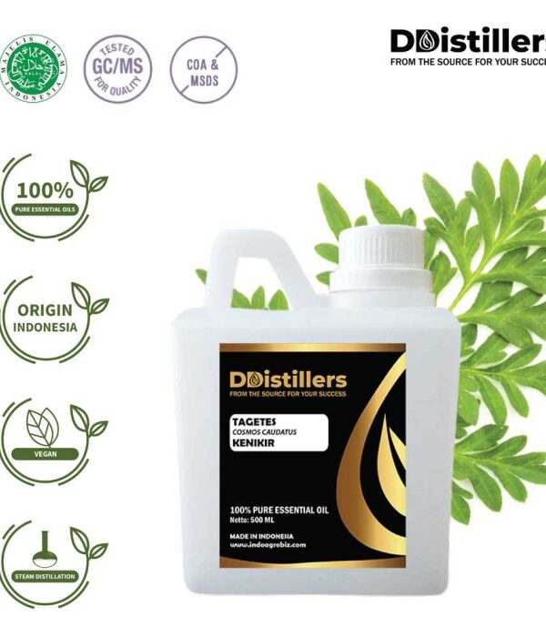 Tagetes Marigold / Kenikir Hias / Bunga Marigold Essential Oil Pure 100%, 500ML-1L HDPE/SS