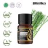 Lemongrass (East Indian) / Sereh Dapur Timur Essential Oil Pure 100%, 2-10ML GS