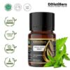 Peppermint (Spearmint) / Spearmint Essential Oil Pure 100%, 2-10ML GS