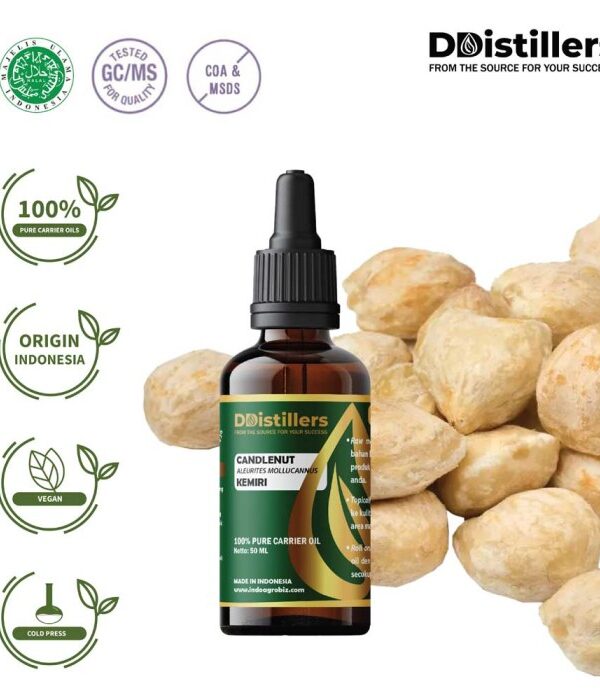 Candlenut / Kemiri Carrier Oil Pure 100%, 50-100ML GS