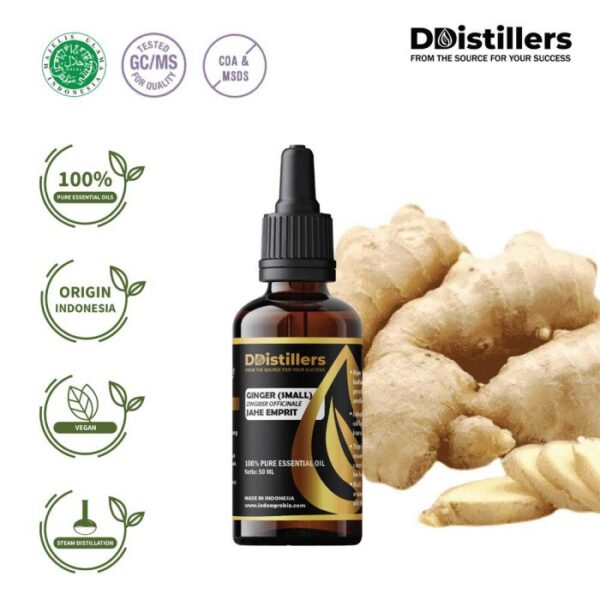 Ginger (Small) / Jahe Emprit Essential Oil Pure 100%, 50-100ML GS