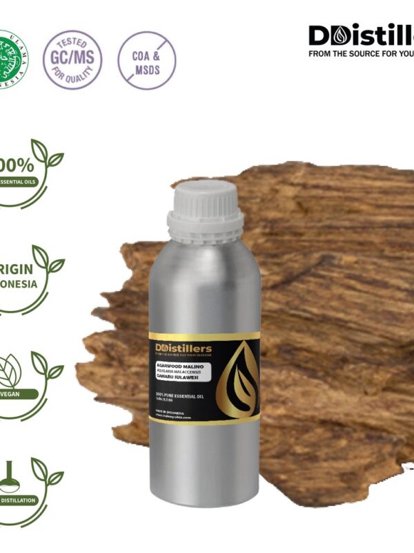 Agarwood Malino / Gaharu Essential Oil Pure 100%, 0.5KG SS