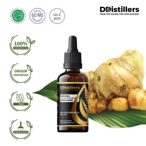 Curcuma / Temulawak Essential Oil Pure 100%, 50-100ML GS