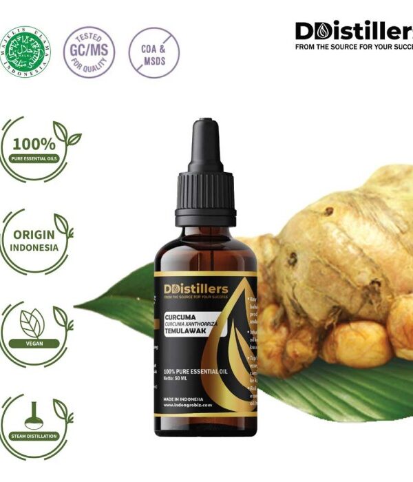 Curcuma / Temulawak Essential Oil Pure 100%, 50-100ML GS