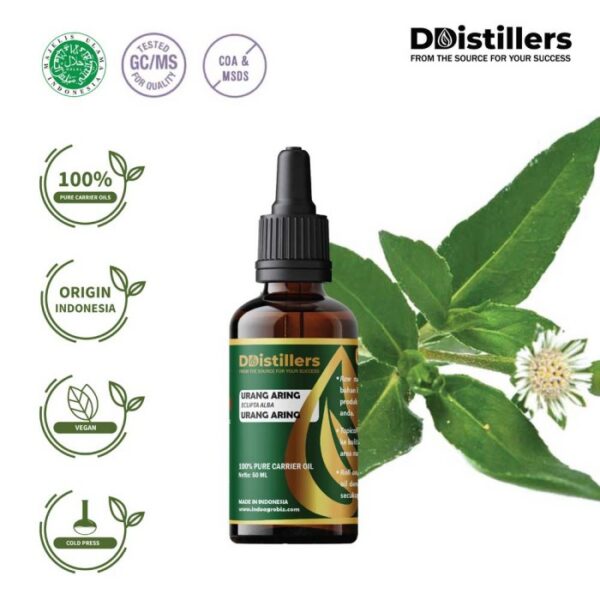 Urang Aring / Urang Aring Carrier Oil Pure 100%, 50-100ML GS