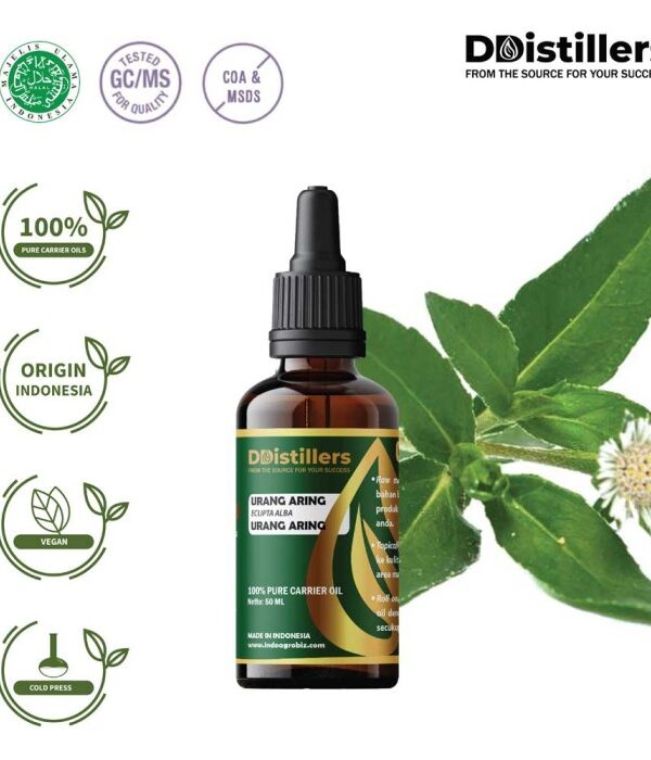Urang Aring / Urang Aring Carrier Oil Pure 100%, 50-100ML GS