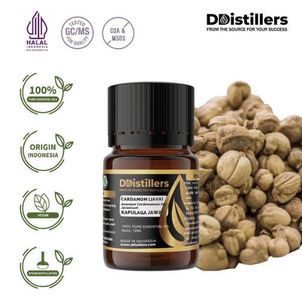 Cardamom (Java) / Kapulaga Essential Oil Pure 100%, 2-10ML GS