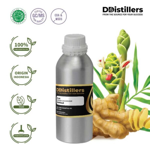 ecfa50f2e4b14f1ea92897364b15cd0e.jpg Plai / Bangle Essential Oil Pure 100%, 500ML-1L HDPE/SS