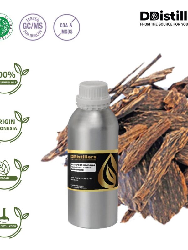 Agarwood Sumbawa / Gaharu NTB Essential Oil Pure 100%, 0.5KG SS