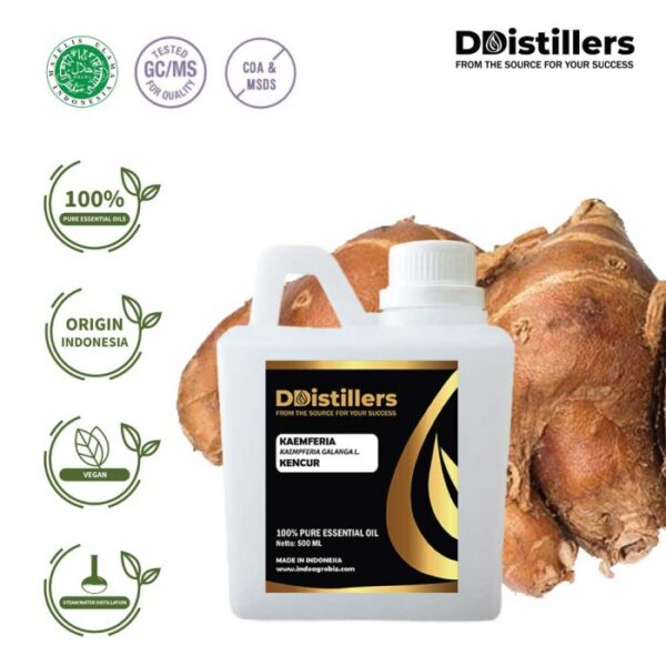 Kaempferia / Aromatic Ginger / Kencur Essential Oil Pure 100%, 500ML-1L HDPE/SS