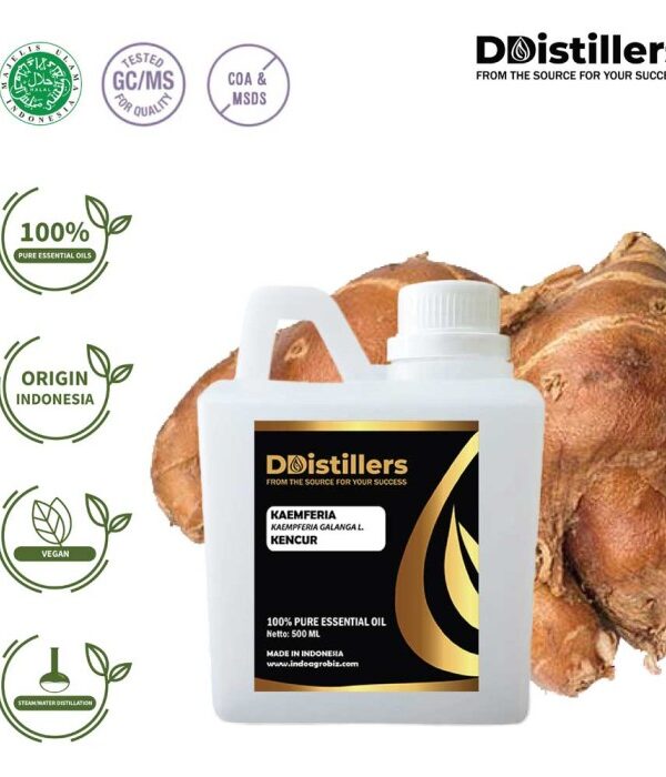 Kaempferia / Aromatic Ginger / Kencur Essential Oil Pure 100%, 500ML-1L HDPE/SS