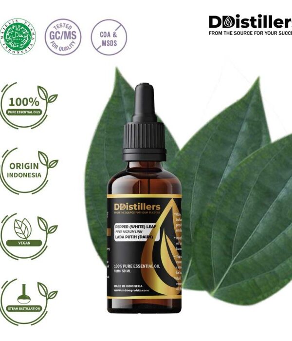 ef1c16565d704401a0c6b8e3af569bd7.jpg Pepper (White) Leaf / Daun Lada Putih Essential Oil Pure 100%, 50-100ML GS