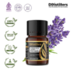 Lavender Wild / True Lavender Essential Oil Pure 100%, 2-10ML GS