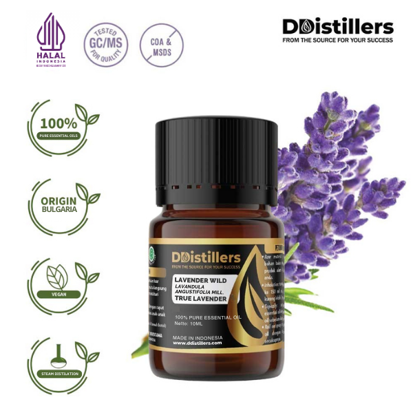 Lavender Wild / True Lavender Essential Oil Pure 100%, 2-10ML GS