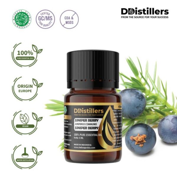 Juniper Berry / Juniper Berry Essential Oil Pure 100%, 2-10ML GS