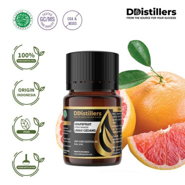Grapefruit / Limau Gedang Essential Oil Pure 100%, 2-10ML GS