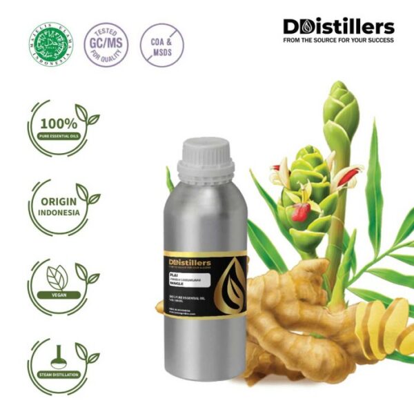 f101fc1b501047c8865e3f130809b5a8.jpg Plai / Bangle Essential Oil Pure 100%, 500ML-1L HDPE/SS