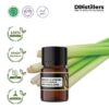 Citronella (Ceylon) / Sereh Wangi Aster Essential Oil Pure 100%, 2-10ML GS