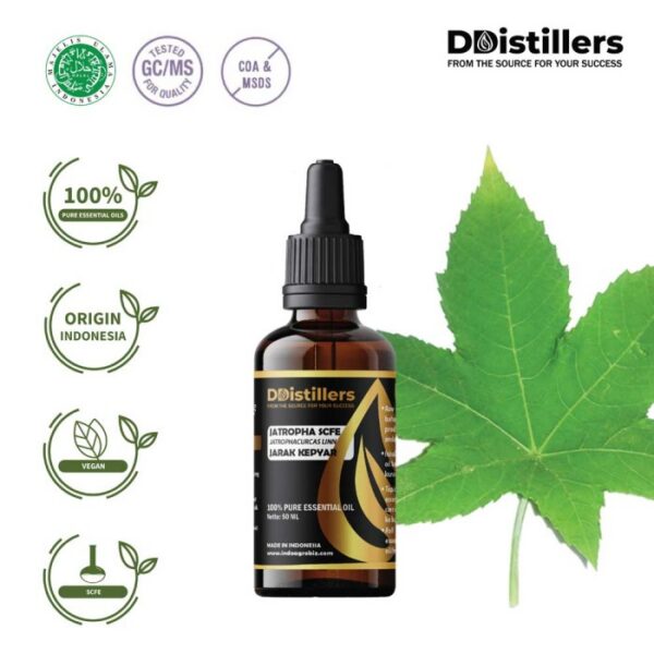 Jatropha SCFE / Jarak Kepyar Essential Oil Pure 100%, 50-100ML GS