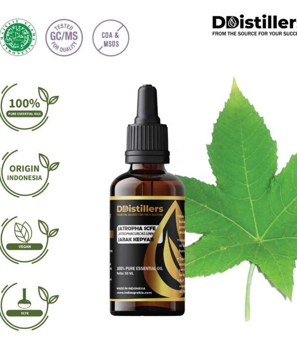 Jatropha SCFE / Jarak Kepyar Essential Oil Pure 100%, 50-100ML GS