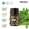 f61ef9de0e3643f497c6fbe96b5e9e47.jpg Marjoram / Marjoram Essential Oil Pure 100%, 2-10ML GS