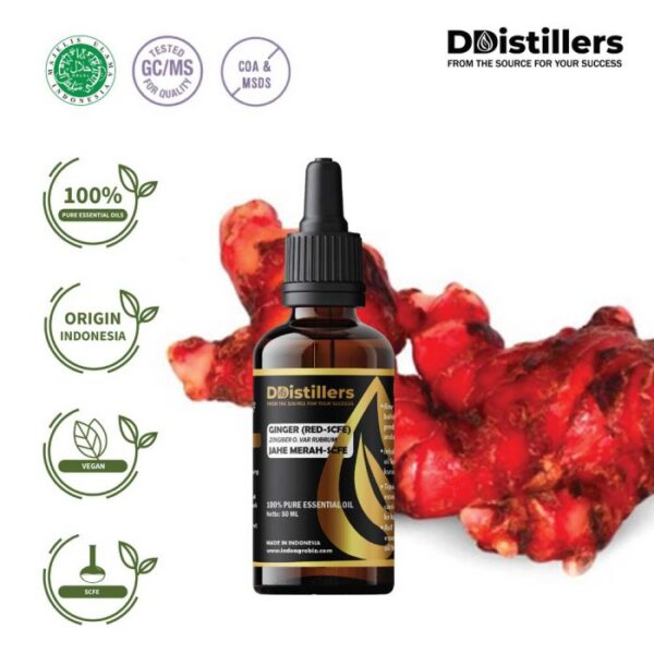 Ginger (Red SCFE) / Jahe Merah Essential Oil Pure 100%, 50-100ML GS