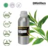 Green Tea SCFE / Teh Hijau Essential Oil Pure 100%, 500ML-1L HDPE/SS