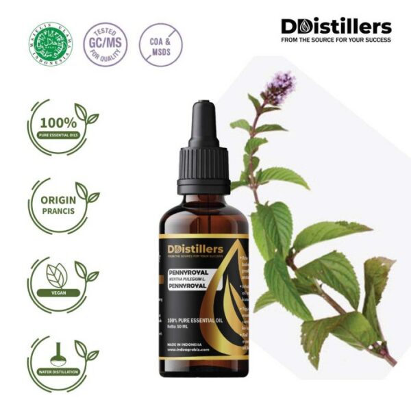 Pennyroyal / Pennyroyal Essential Oil Pure 100%, 50-100ML GS
