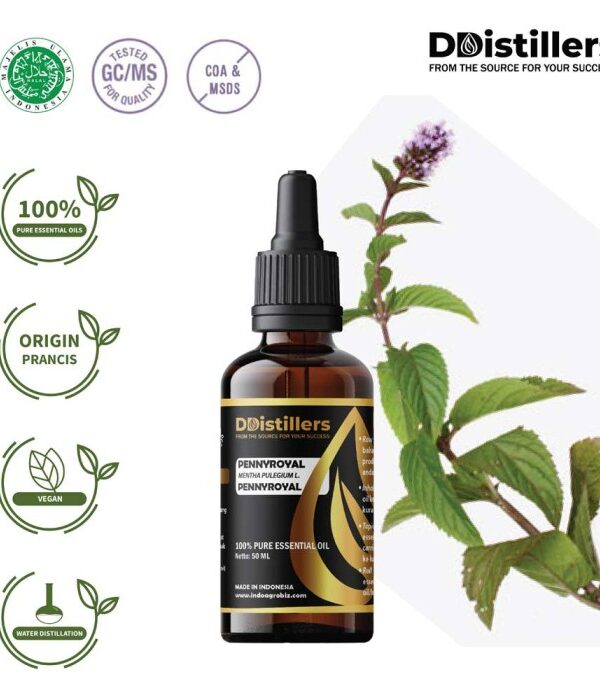 Pennyroyal / Pennyroyal Essential Oil Pure 100%, 50-100ML GS