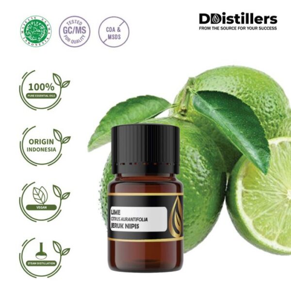Lime / Jeruk Nipis Essential Oil Pure 100%, 2-10ML GS