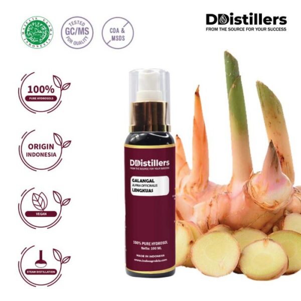 Hydrosol Galangal / Lengkuas 100%, 60-100ML GS